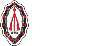 bsa cycle online